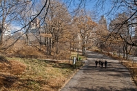 Central Park