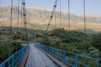 Bridge, Hormovë