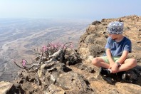 Adenium dhofarense, Jabal Samhan