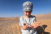 Stenodactylus leptocosymbotes, Hailat