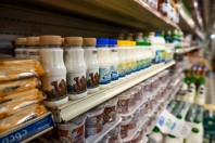 Velbloudí mléko, Wadi Bani