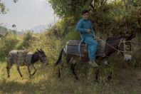 Young man on a donkey, Bagrian