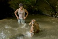 Young man bathing calf, Bagrian