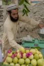 Sale of fruits, Maira Besham Shangla