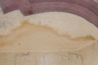 Hemidactylus flaviviridis, Bannu