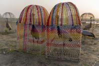 Grus grus, Ghoriwala