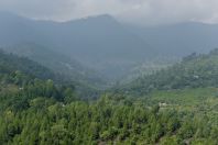 On the way to Muree