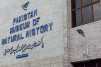 Museum, Islamabad