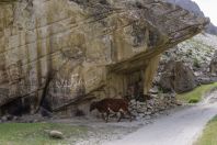 Sas Valley, Hunza