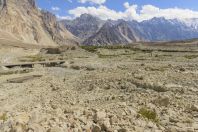 Passu