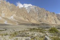 Passu