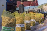 Sale of nuts, Kawai