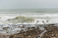 Arabian Sea, Jamali Goth