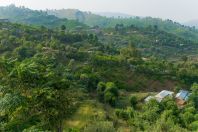Margala hills