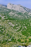 Aniča Kuk, Paklenica