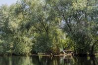 Danube delta