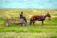 Slovakia (Tajba reservation) & Romania 2008