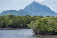 Sarawak River, Kuching