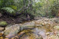 Santubong NP