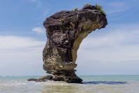 Cobra Rock, Bako NP