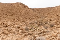 Rocky desert, Al Ghat