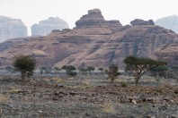 Desert near Hegra