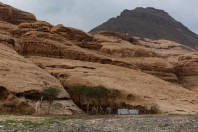 Desert near Hegra