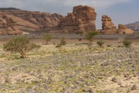 Desert near Hegra