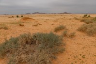 Desert, Hegra