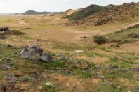 Walyal Ahd