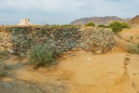 Oáza, Al Habib