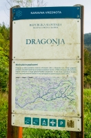 Dragonja valley