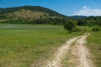 Petelinjsko jezero, Pivka