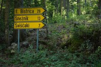Mašun