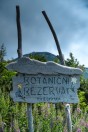 Snežnik