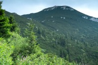 Snežnik