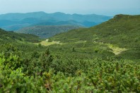 Snežnik