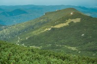Snežnik