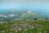 Snežnik
