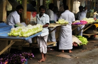 Lotus salesmen, Kandy