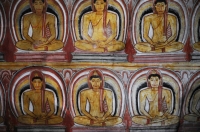 Dambulla cave temple