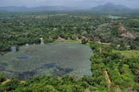 Sigiriya