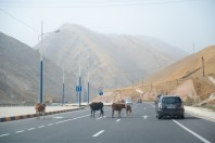 On the road to the south