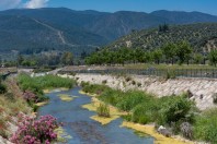 Serinyol
