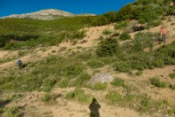 Suçıkağı