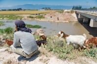 Güventaşı