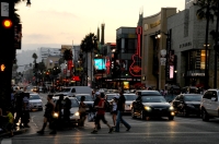 Hollywood Blvd. 