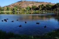 Carbon canyon park