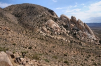 Ryan Mts., Joshua Tree NP