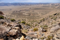 From Ryan Mts., Joshua Tree NP